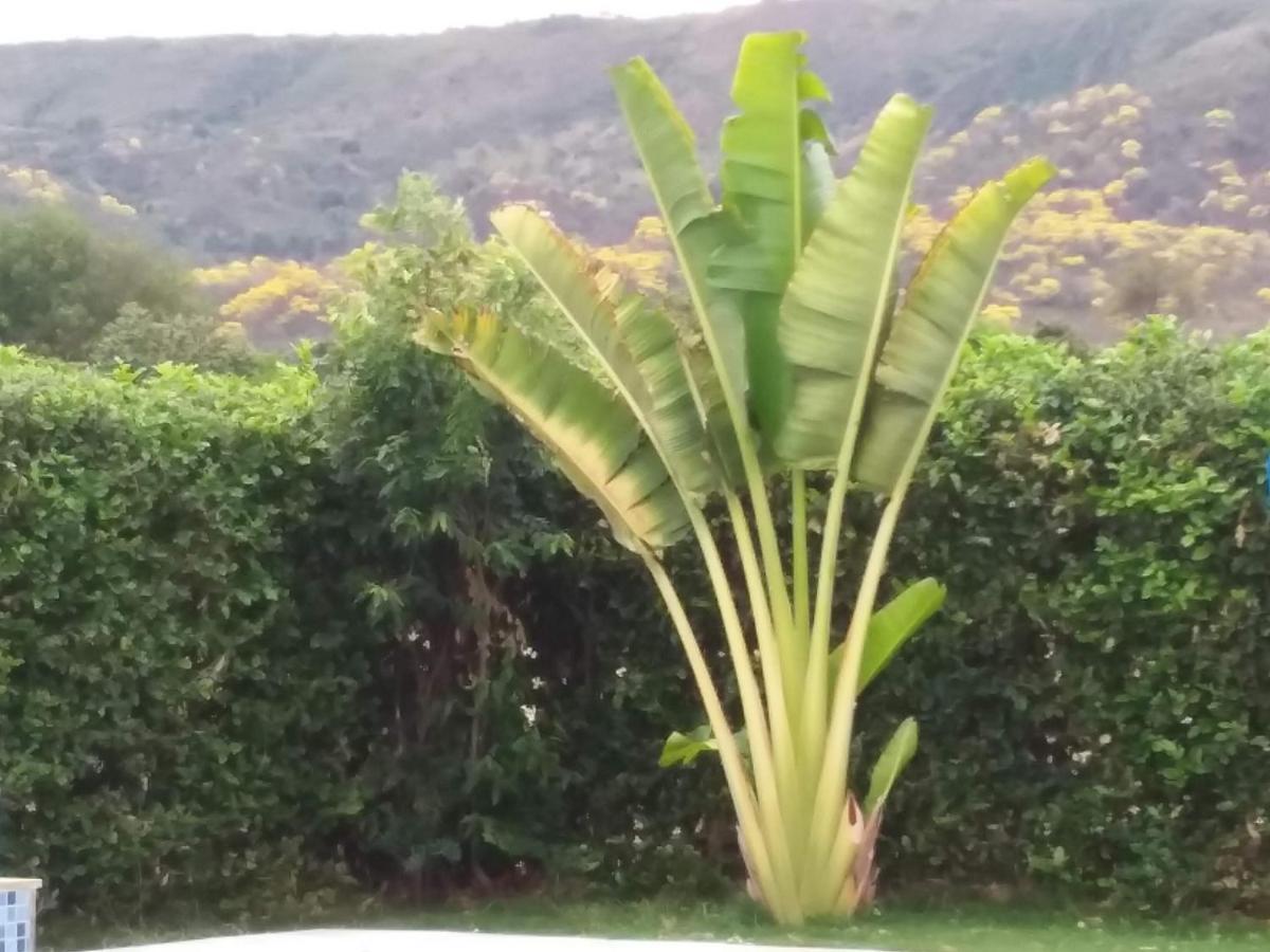 C&H Casa Campestre El Oasis Ricaurte Girardot Bed & Breakfast ภายนอก รูปภาพ